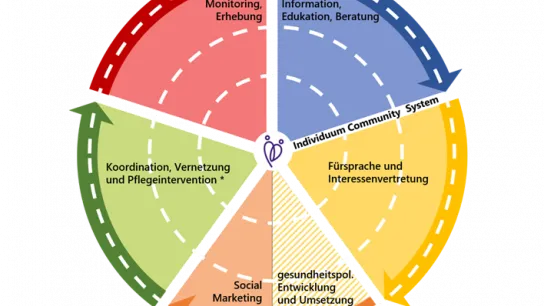 Aufgaben und Rollenprofil, Quelle: GÖG (2024),  in Anlehnung an das Minnesota Department of Health 2019